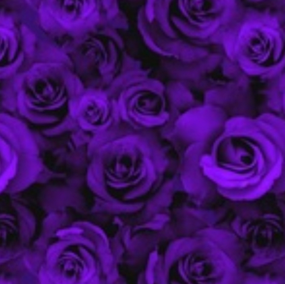 Meet your Posher, Nicole - Picture 1 of 1